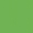 NO 142 NEON DARK GREEN